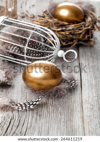 golden egg in nest, on wooden background