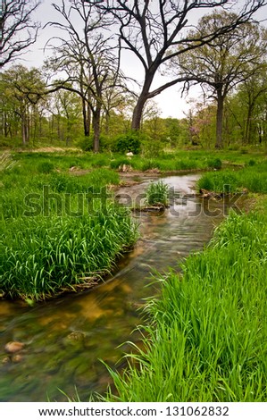 Willoway Spring Willoway Brook winds it\'s way through a spring landscape at The Morton Arboretum, Lisle, Illinois.