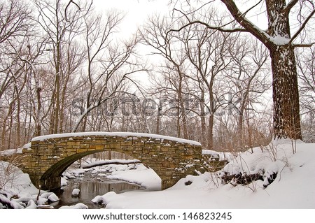 Winter Bridge Winter on a creek flowing through Black Partridge Woods Nature Preserve, Cook County, IL.