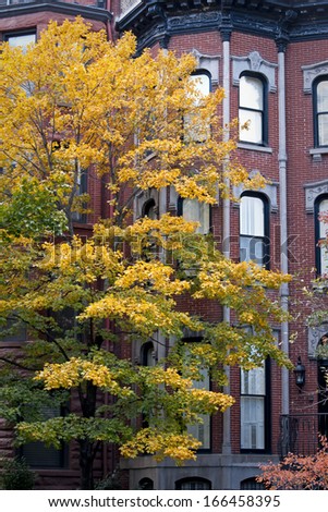 Autumn color on the city streets of an urban neighborhood near downtown Chicago, Illinois.