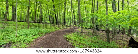 An inviting hiking path winds it\'s way through the spring woods at The Morton Arboretum in Lisle, Illinois.
