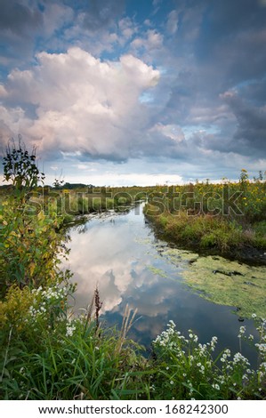 Spring creek flows through the summer prairie at Springbrook Prairie Nature Preserve in DuPage County, Illinois.
