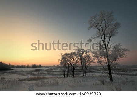 A thick coating of hoar frost covers the winter landscape as the sun rises over Springbrook Prairie Forest Preserve, DuPage County, IL.