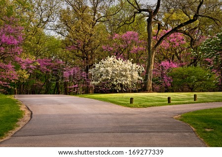 The colors of spring create a scenic drive through the grounds of The Morton Arboretum in Lisle, Illinois.