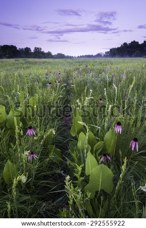 A path through wildflowers and native plants invites hikers to explore Schulenberg Prairie at The Morton Arboretum, Lisle, Illinois.