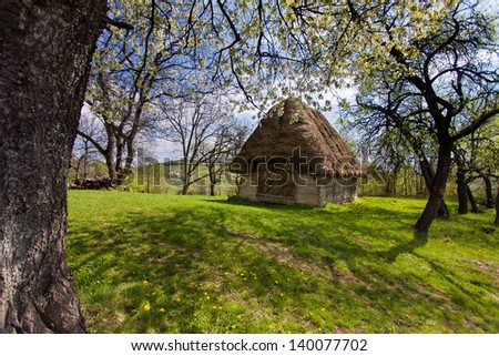 Different types of vintage houses isolated on green grass