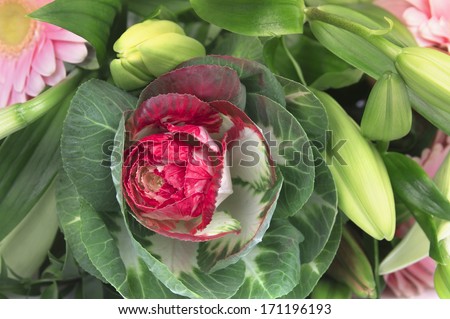 Rare red cabbage in bouquet