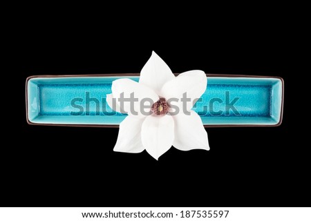 White magnolia flower in a blue rectangular bowl isolated on black background