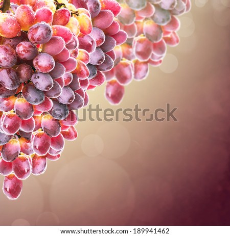 Bunch of grapes on burgundy background with bokeh, fruit Border