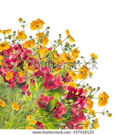 Floral border of yellow and red flowers,isolated on white background