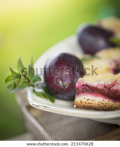 Plum cake, plum fruit and mint on plate, selective focus