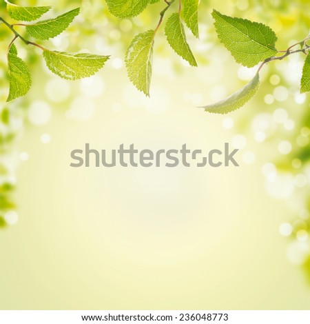 Spring summer background with green leaves,light and bokeh, frame with place for text