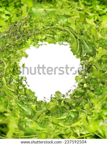 Green fresh herbs frame on white background