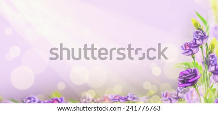 purple flowers on blurred background with bokeh, banner for website