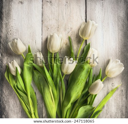 White tulips bunch on old light wooden background