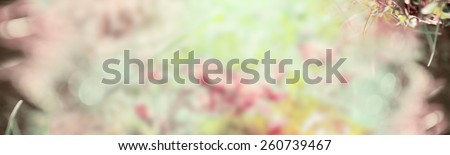 Blurred pastel nature background, banner for website