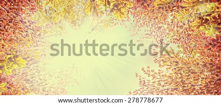 Autumn  foliage on sunny sky ,abstract nature background, banner for website, toned