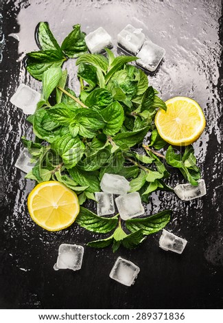 Mint leaves, ice cubes and lemon, ingredients for long drinks, top view