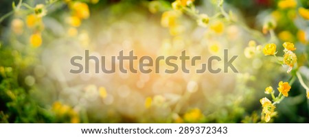 Blurred summer nature background with yellow garden or park flowers, banner for website