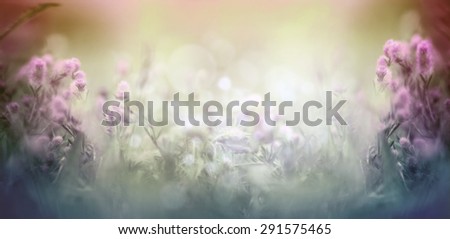 Wild  flowers and herbs plant on for blurred nature background, banner for website