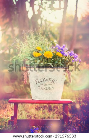 Vintage flower  bucket  with garden flowers on red little stool over summer or autumn nature background