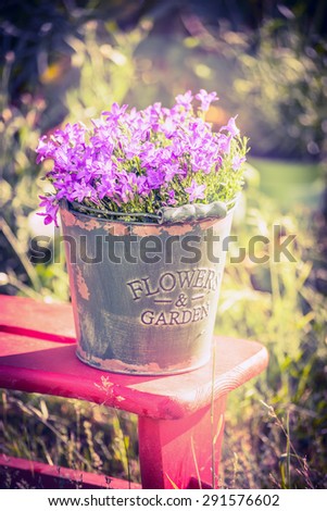 Vintage bucket with campanula flowers on garden background