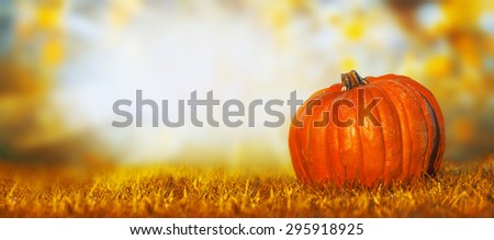 Big pumpkin on lawn over autumn nature background, banner for website