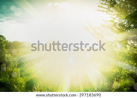 Beautiful  summer background with green grass, foliage and sun rays. Outdoor summer nature background with sunshine