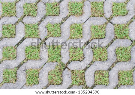 Cobble road with grass growing between cobbles