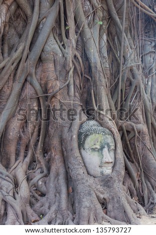 Head of Buddha in The Tree Roots at Wat Mahathat, Ayutthaya, Thailand