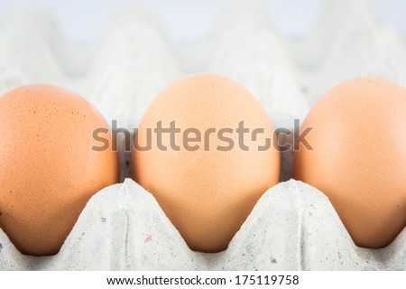 Close Up macro eggs in paper tray