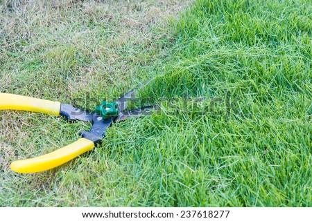 Scissors cut grass put in garden during cut