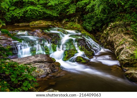 Peaceful Smoky Mountain stream along the Roaring Fork Motor Nature Trail. Great Smoky Mountains National Park. Gatlinburg, Tennessee.