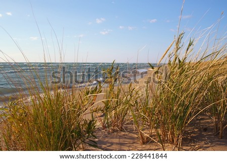 Great Lakes Paradise. Dune grass blows in the summer breeze with the Lake Michigan horizon as the backdrop.