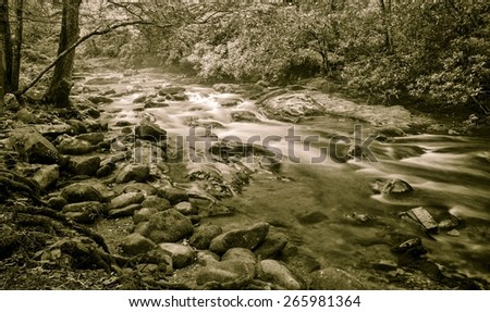 Blue Ridge Mountain Stream. Horizontal black and white Blue Ridge Mountain forest scene with a stream rushing by. North Carolina.