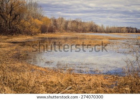 Great Lakes Wetlands. The beauty of a rare Great Lakes coastal wetland habitat.
