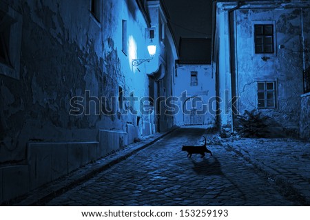 Black Cat Crosses The Deserted Street At Night