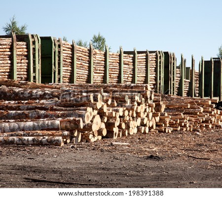 Commodity cars transporting wood stand in a warehouse