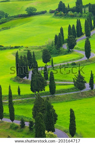 Beautiful  landscape of Tuscany with the twisting road and cypresses