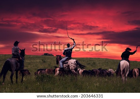 Three cowboys drive herd of horses on a sunset