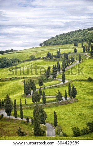 Beautiful landscape of Tuscany with the twisting road and cypresses