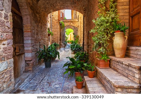 Plants in pots on narrow streets of the ancient city of Spello, Umbria, Italy