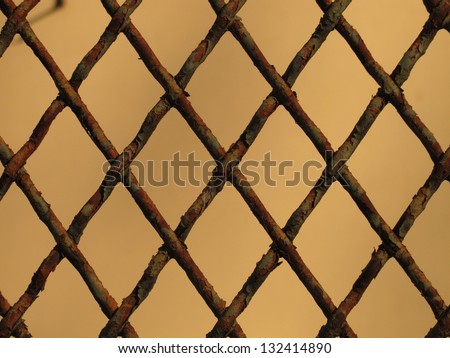 fence made by iron net lozenge shaped