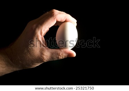 A hand holding a chicken egg between the thumb and fingers isolated on a black background.