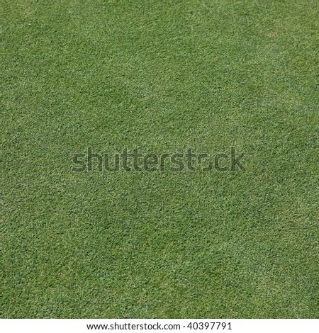 Detail view of a fresh cut Grass Field