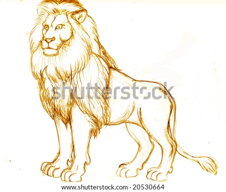 Lion On A White Background Stock Photo 20530664 : Shutterstock