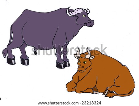 Buffalo Ox