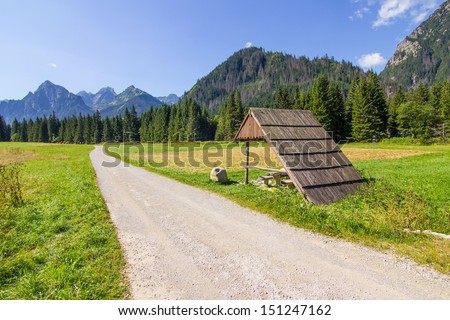 A mountain way and meadows, Tatra National Park, Slovakia