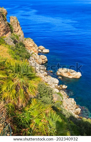 Zingaro Natinal Park - a view of a shore and colorful plants, Sicily, Italy
