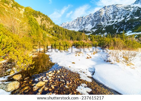 A landscape around Popradske Pleso in winter scenery in Tatra Mountains, Slovakia